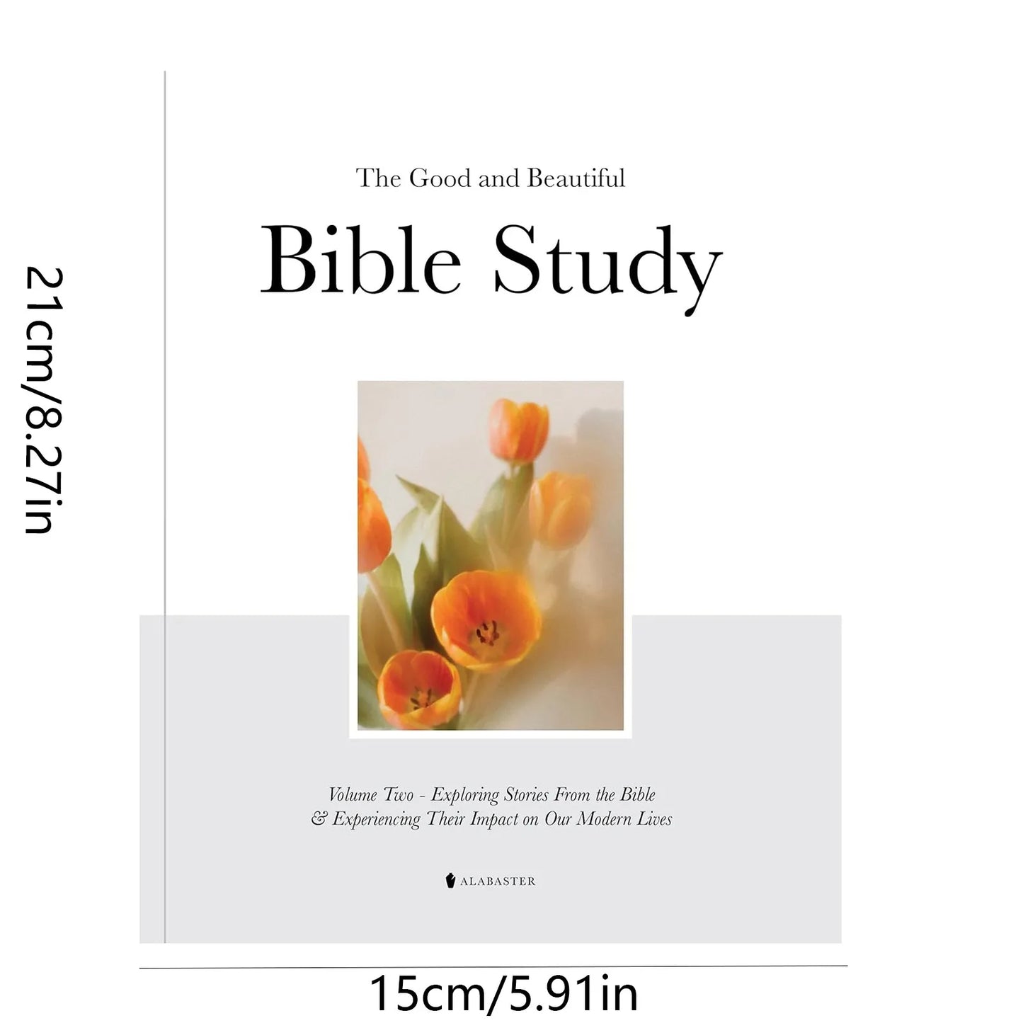 Goodness And Beauty Bible Study Explore Biblical Stories And Experience Their Impact On Our Modern Lives 52 Weeks For Women