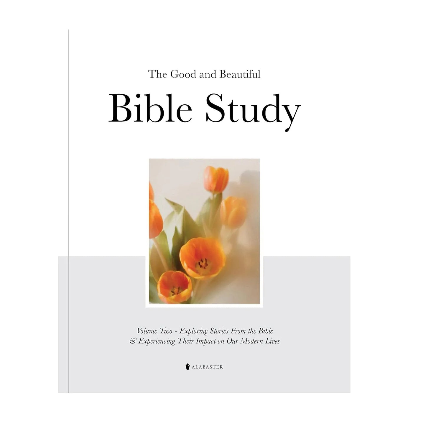 Goodness And Beauty Bible Study Explore Biblical Stories And Experience Their Impact On Our Modern Lives 52 Weeks For Women